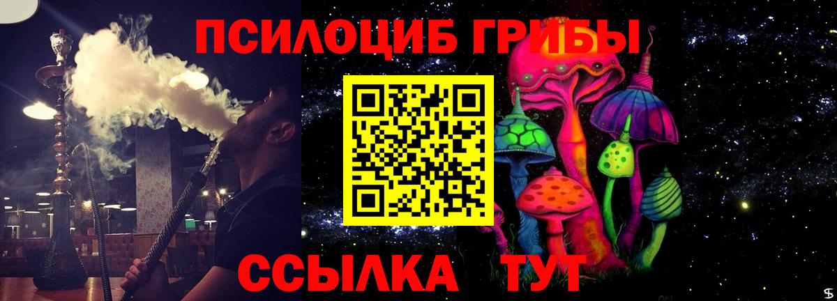 Псилоцибиновые грибы мухоморы  Вход с VPN  Каменка 
